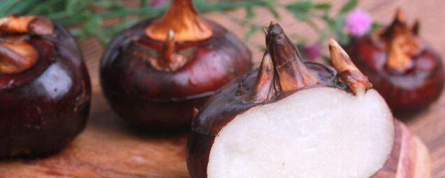 马蹄能不能生吃(马蹄到底能不能生吃)