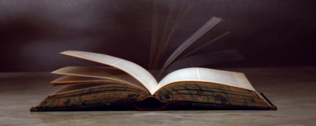 意有所指是什么意思(有意所为的意思)