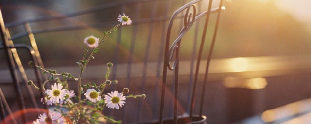 回忆的近义词是什么(回忆的近义词是什么(最佳答案)