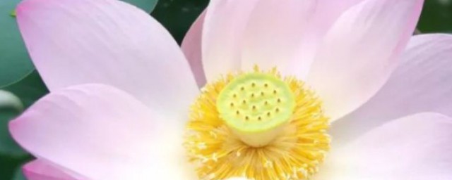 经乱离后天恩流夜郎忆旧游书怀赠江夏韦太守良宰原文(经乱离天后天恩流夜郎忆旧游书怀赠江夏韦太守良宰)