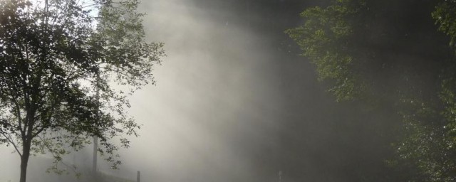 阴霾的反义词介绍(阴霾的反义词是什么 标准答案)