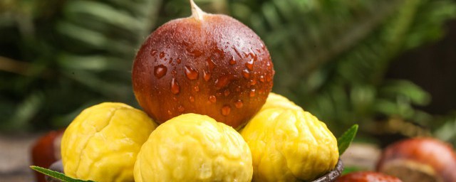 板栗出一点芽能不能吃(板栗里面有一点小芽可以吃吗)