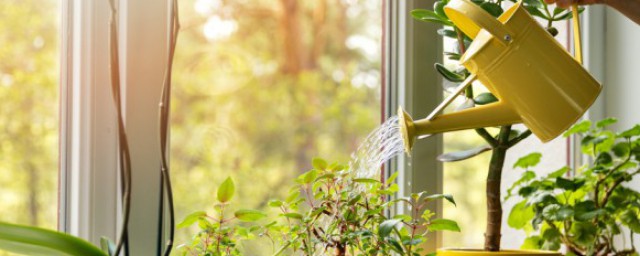 关于普通灯能给植物补光的问题(植物补光灯有效果吗)