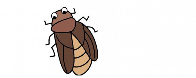 蟑螂有没有毒(会飞的蟑螂有没有毒)