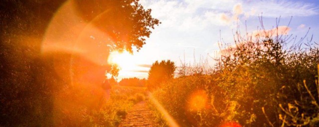 搞笑语句笑死人一句话(搞笑语句笑死人一句话生气)