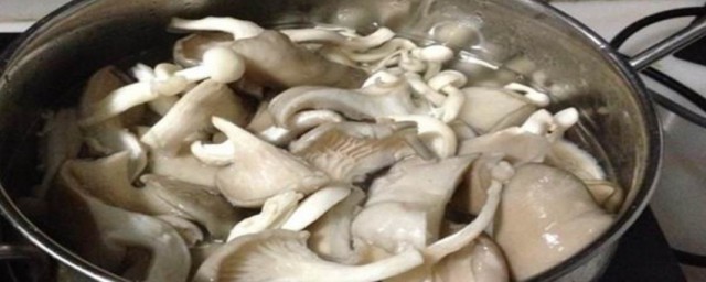蘑菇要焯水吗(炒野生蘑菇要焯水吗)