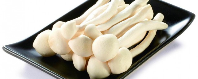 海鲜菇和白玉菇是同一品种吗(海鲜菇跟白玉菇的区别)