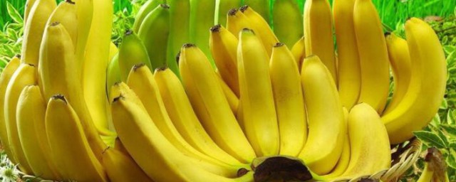 香蕉是不是寒性的(香蕉是不是寒性的?)