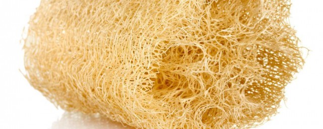 丝瓜络的功效与作用及禁忌是什么(丝瓜络的功效与作用点的功效与作用及禁忌)