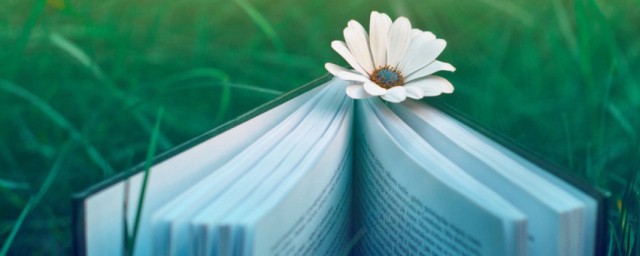 纸上谈兵解释(纸上谈兵解释意思)