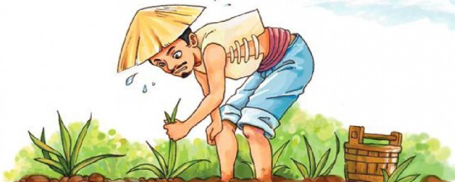 揠苗助长是什么道理(揠苗助长懂得什么道理)