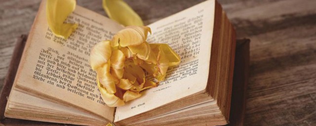 父善游的含义(父善游这个故事的含义)