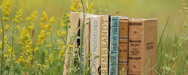 精益求精的两个精解释(精益求精的第二个精的意思)