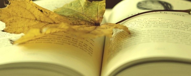 向使三国各爱其地的出处(向使三国各爱其人)