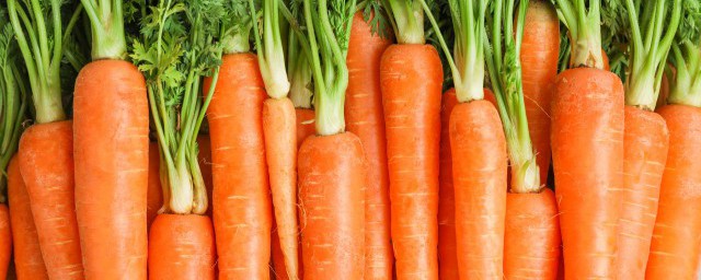 关于萝的组词拼音(萝的拼音字组词怎么写)