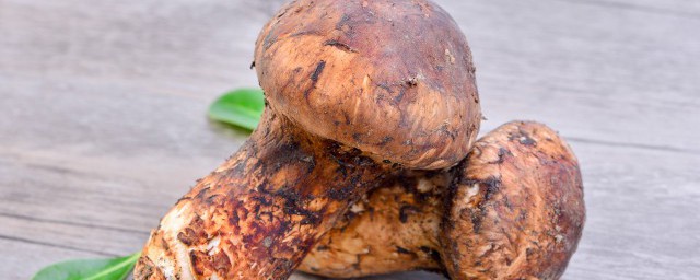 松茸清洗干净能不能太阳直接哂(松茸怎么洗才能干净)