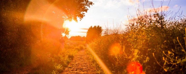 抖音伤感文案有哪些(适合抖音伤感的文案)