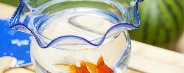 金鱼缸的水浑浊的解决方案(小金鱼缸的水浑浊怎么办)