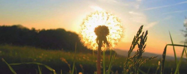 伤感的文案句子有哪些(特别伤感的文案句子)