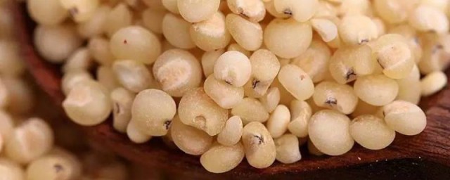 关于秫米的介绍(秫米和北秫米有区别吗)