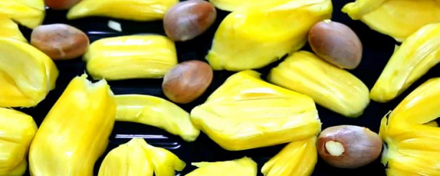 菠萝蜜的籽的吃法介绍(蜜菠萝的籽怎么吃法)