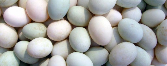 鸡蛋和鸭蛋是发物吗(鸡蛋与鸭蛋哪个是发物)