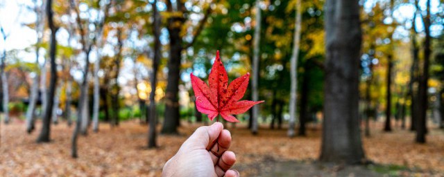 立秋饮食有哪些讲究(立秋饮食风俗)