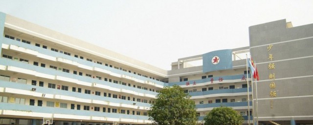 大学培养方式如何填(大学学制和培养方式怎么填)