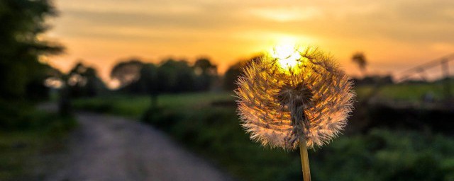 不碰感情爱情的酷句子精选(不想碰爱情的句子)
