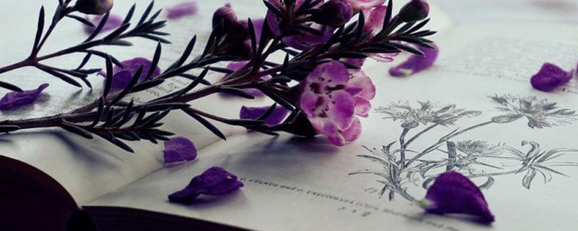 漠视的解释(轻视与漠视是什么意思)