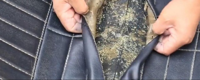 清洗皮具霉迹 的方法