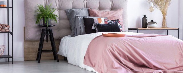 户尘螨如何去除(尘螨怎么除掉)