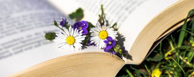 仰慕解释(慕仰的意思)