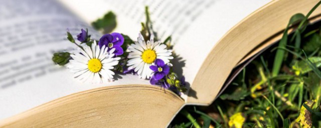 亭亭玉立和婷婷玉立有没有区别(亭亭玉立和婷婷玉立都是成语吗)