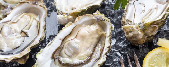生蚝冷冻了可以吃的原因(生蚝冷冻还能吃吗)