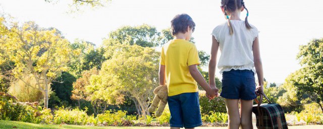 表达姐弟情深的句子示例(写姐弟情深的句子)