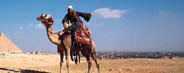 沙漠里有哪些动物(沙漠里有哪些动物图片)