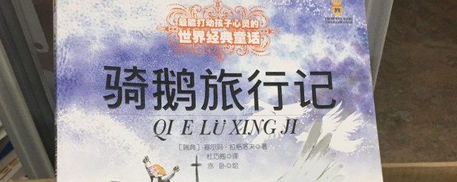 骑鹅旅行记简介(骑鹅旅行记简介500字左右)