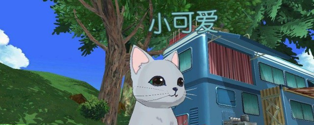 关于小森生活辛巴喜欢的食物是什么介绍