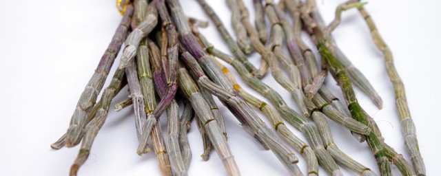 盘点铁皮石斛的吃法(铁皮石斛的吃法)