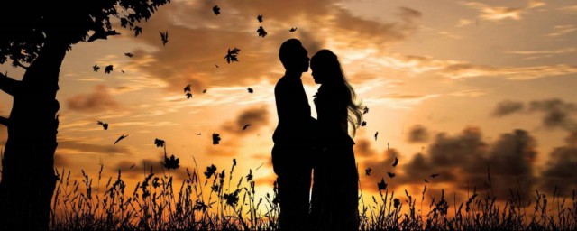 npy是什么意思网络用语(npy的中文是什么)