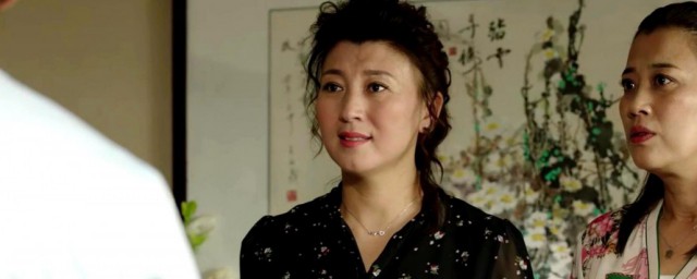 山杏扮演者介绍(山杏演员表)