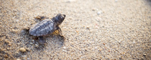 正确养殖用水的方法(如何进行养殖用水的调节)