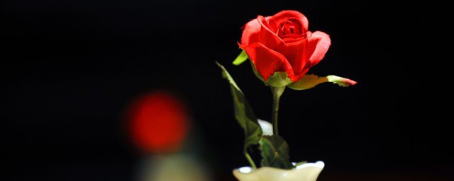 31朵玫瑰花寓意(31朵玫瑰花含义)