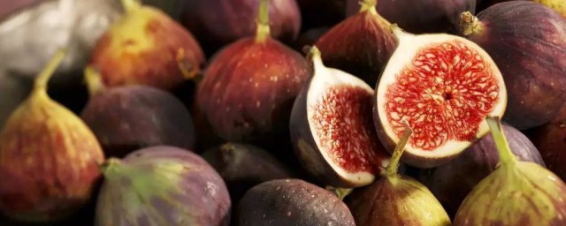无花果的功效与作用有哪些(无花果的功效与作用百科)