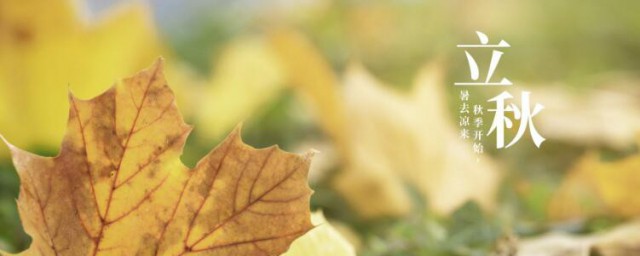 立秋节气的注意事项有哪些(立秋节气养生知识)