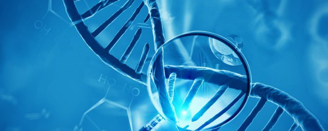 生物大分子的介绍(生物大分子是什么)