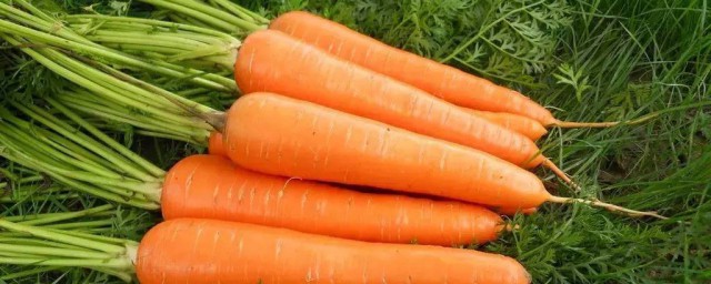 胡萝卜热量高不高(胡萝卜是高热量还是低热量)