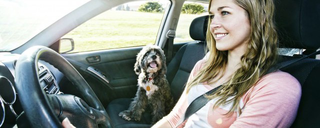 汽车整备质量和总质量的区别介绍(车的总质量和整备质量有什么区别)