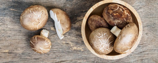 牛肉可不可以和香菇一起吃(请问牛肉可以和香菇一起吃吗)